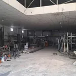 Bán kho xưởng mặt tiền Tỉnh Lộ 835A, 262m² tại Tây Ninh - Ảnh thu nhỏ 4