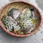 Bán nhà 44m2 3 tầng Vũ Chí Thắng - Ảnh thu nhỏ 1