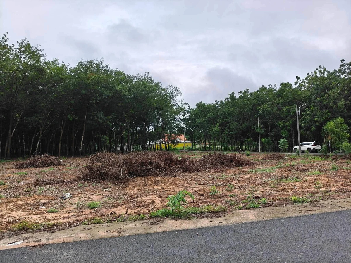 Bán lô đất 156.8m² sổ riêng thổ cư Mỹ Phước, Bình Dương - Ảnh thu nhỏ 3