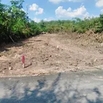 Bán lô đất 530m² ngang 10m tại Phú An, Thủ Đức, 2 tỷ 200 - Ảnh thu nhỏ 1