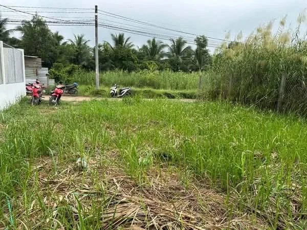 Bán 2 nền đất liền kề 300m² thổ cư tại xã Hữu Định, Bến Tre - Ảnh thu nhỏ 3