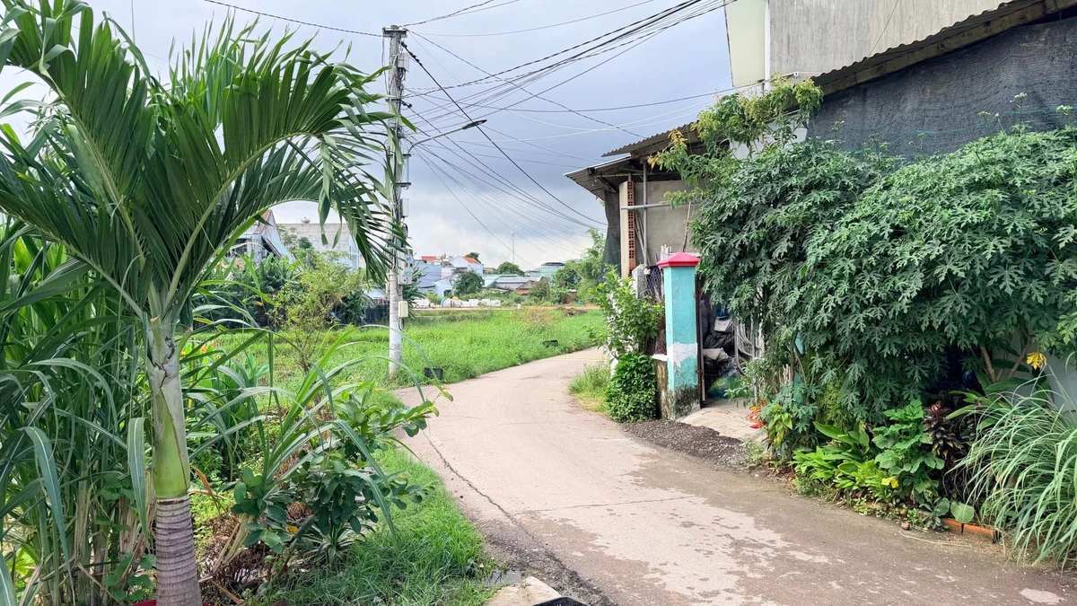 Bán đất 109,7m² hẻm Lê Công Miễn Tuy Phước 890 triệu - Ảnh thu nhỏ 4
