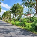 Bán đất thổ cư mặt tiền Lê Văn Cảng 4,5x29m Long An - Ảnh thu nhỏ 1