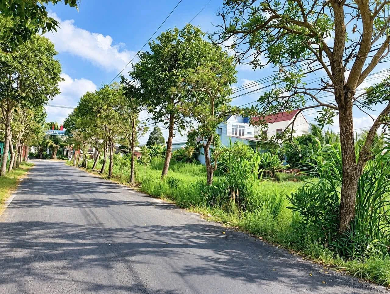 Bán đất thổ cư mặt tiền Lê Văn Cảng 4,5x29m Long An - Ảnh 1