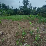 Bán đất 1000m² Tân Thành, Bến Tre, 1 tỷ - Ảnh thu nhỏ 4