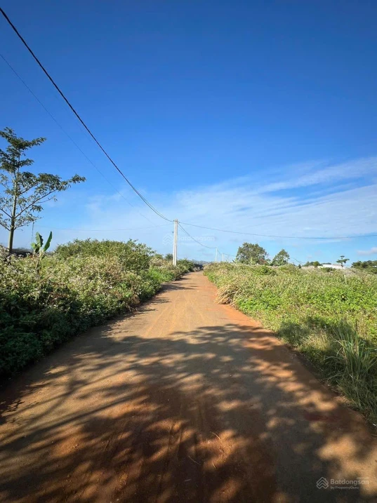 Bán đất giá rẻ - hẻm ô tô 169 Nguyễn Đình Chiểu - Phường 1 Bảo Lộc - Ảnh thu nhỏ 3