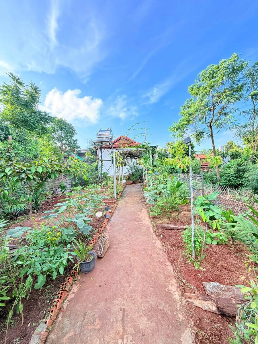 Nhà vườn 420m2 bán 2,5 tỷ Cần Giờ - Ảnh thu nhỏ 5