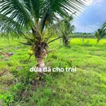 Bán đất 2600m² 2 mặt tiền Hàm Liêm, Lâm Đồng - Ảnh thu nhỏ 1
