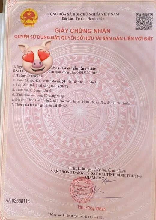Bán lô đất thổ cư 100m² gần Khu Ga Lê Duẫn, Phan Thiết - Ảnh thu nhỏ 5