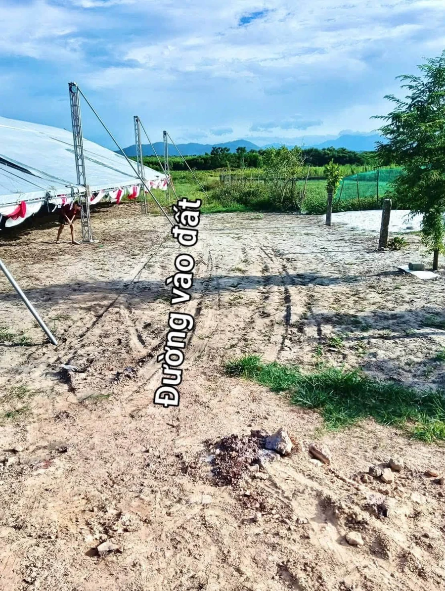 Bán lô đất trồng cây 336m2 cạnh KCN Phong Điền, Huế, giá 59 triệu - Ảnh thu nhỏ 4