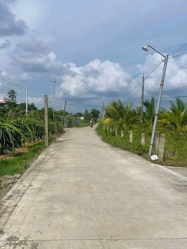 Bán đất 1.240m2 xã Vĩnh Công, Tây Ninh (Châu Thành, Long An cũ) giá 1 tỷ 500 triệu - Ảnh thu nhỏ 3