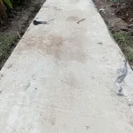 Chính chủ bán 11 công đất trồng lúa Hòa Mỹ, Hậu Giang - Ảnh thu nhỏ 5