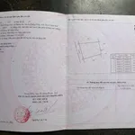 Bán đất trồng cây 271m² Phong Thái Huế 75 triệu - Ảnh thu nhỏ 1