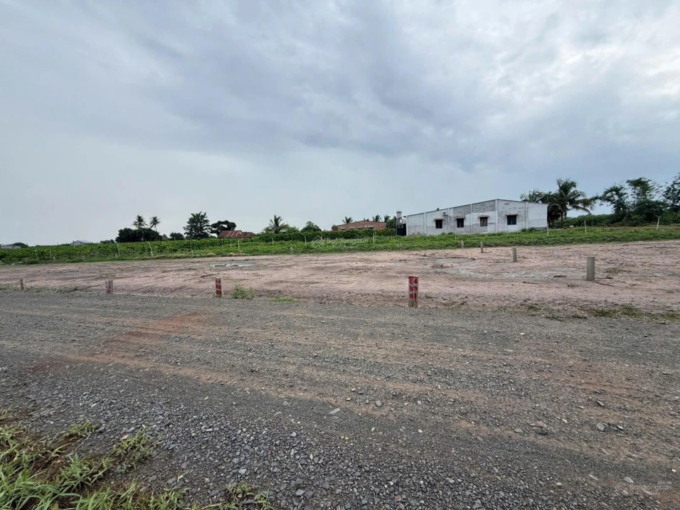 Bán đất view Núi Bà Đen - Dương Minh Châu, 199 triệu, 93m2, sổ sẵn - Ảnh 1