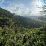 Bán đất 1.000m² Xuân Trường Đà Lạt, có nhà sẵn, 1,269 tỷ - Ảnh thu nhỏ 4