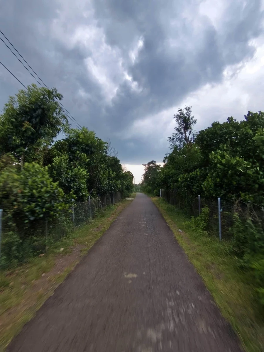Bán đất 1000m² giáp ranh Bảo Vinh, Long Khánh, view núi - Ảnh thu nhỏ 5