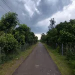 Bán đất 1000m² giáp ranh Bảo Vinh, Long Khánh, view núi - Ảnh thu nhỏ 5