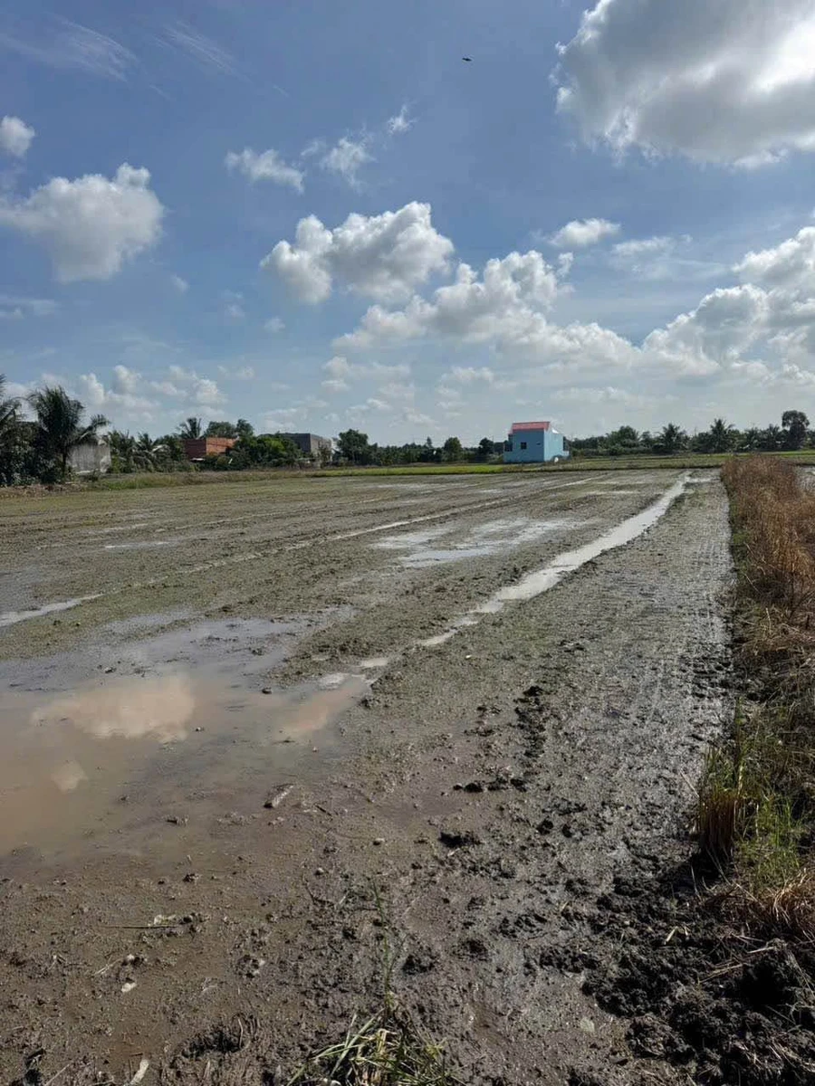 Bán 1.000m² đất Thanh Phú, Bến Lức, Long An 4,8 tỷ - Ảnh 1