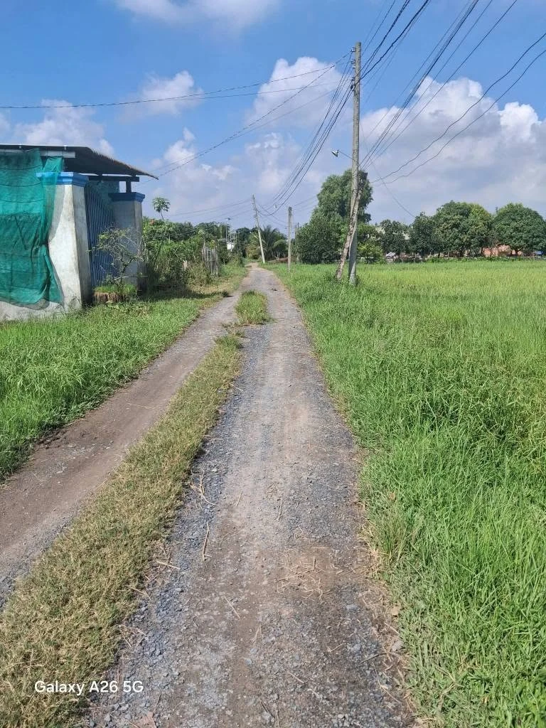 Bán đất thổ cư SHR Mỹ Hạnh Bình Chánh 168m2 600 triệu - Ảnh thu nhỏ 4