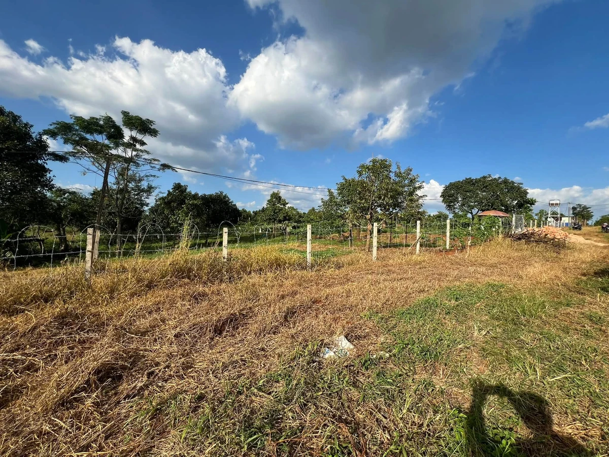 Bán đất 2.400m² Trương Định Pleiku, view ruộng - Ảnh thu nhỏ 3