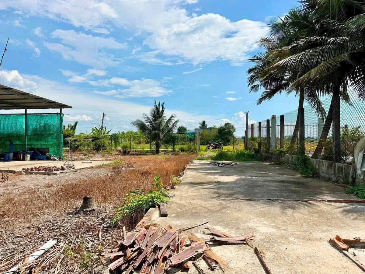 Bán lô đất thổ cư mặt tiền Thủ Thừa, Long An 176 m² - Ảnh thu nhỏ 3