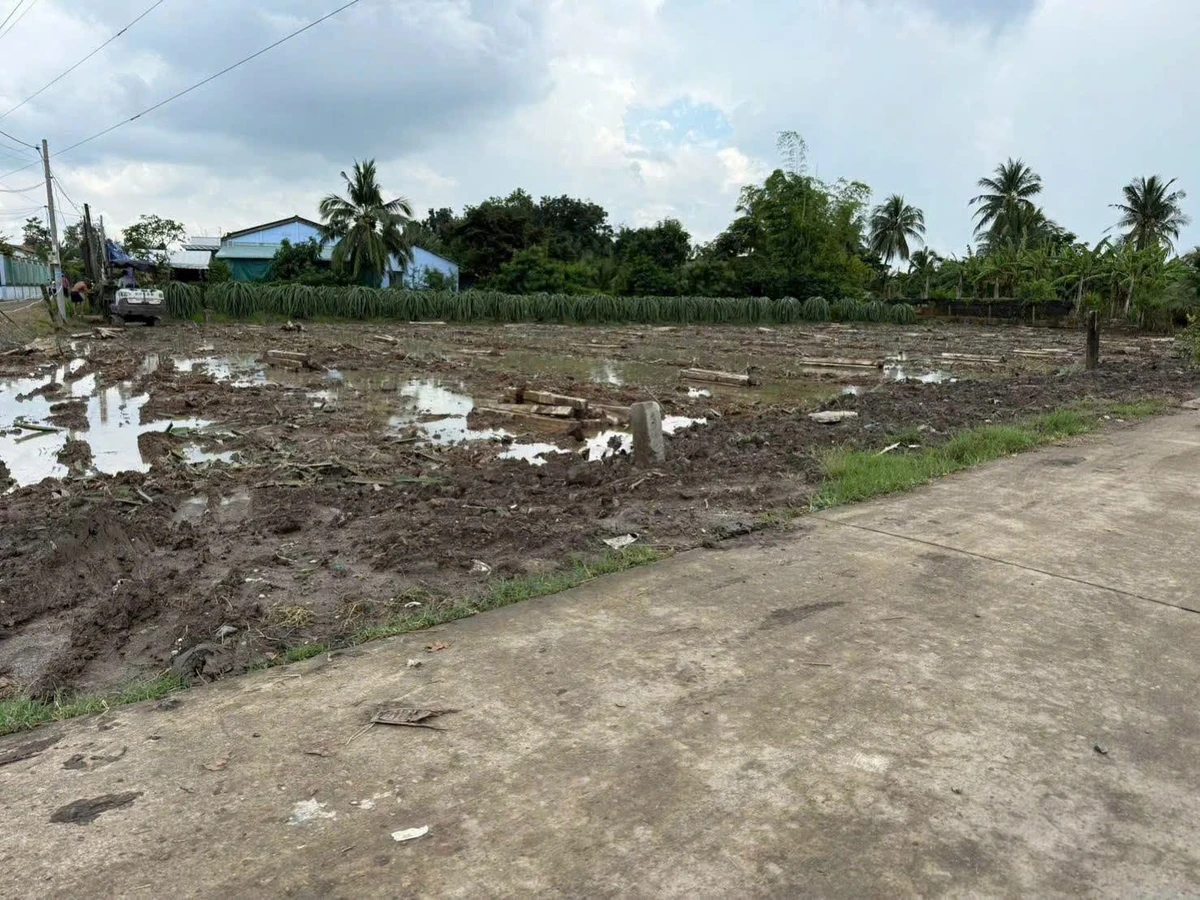 Bán đất thổ cư 5x33m đường Đan Tây Ninh 330 triệu - Ảnh thu nhỏ 2