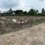 Bán đất thổ cư 5x33m đường Đan Tây Ninh 330 triệu - Ảnh thu nhỏ 2