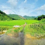 Bán đất 254m² Kim Bôi, Hòa Bình hơn 500 triệu - Ảnh thu nhỏ 3