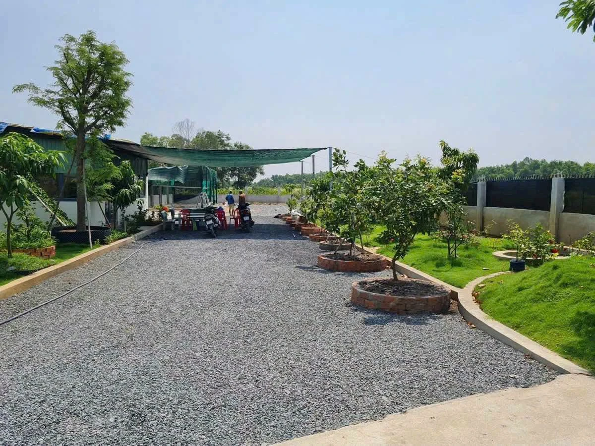 Bán nhà vườn kho 1123m² Bình Lợi, Bình Chánh 4,6 tỷ - Ảnh thu nhỏ 2