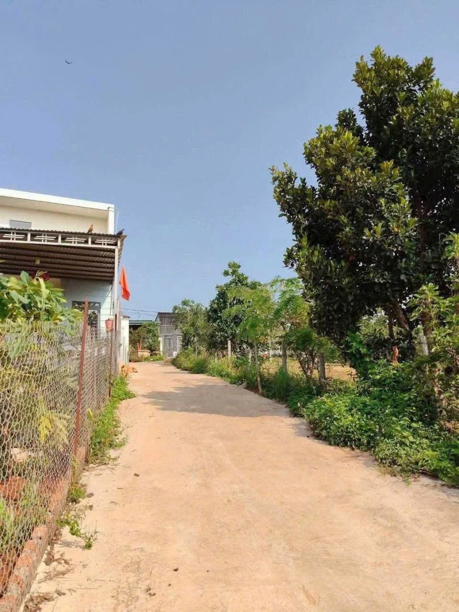 Bán đất 300m2 hẻm ô tô gần chợ, trung tâm Gia Nghĩa, Lâm Đồng, giá 880 triệu - Ảnh thu nhỏ 4
