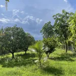 Bán 3.208m đất TMDV trung tâm Ninh Hòa vị trí đẹp, giá 6,5 triệu/m - Ảnh thu nhỏ 2