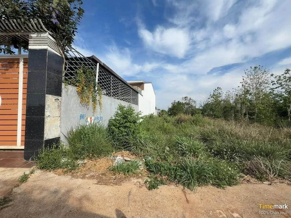 Bán lô đất 240m² Chi Lăng, Khánh Xuân giá 868 triệu - Ảnh thu nhỏ 4