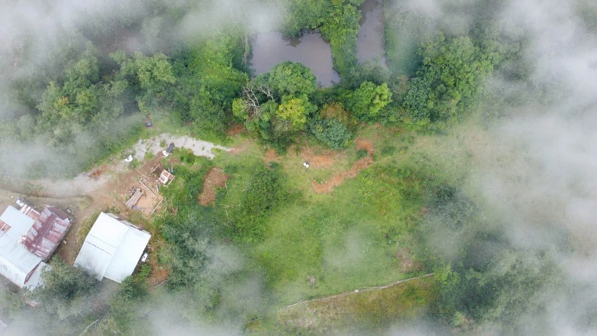Bán đất Măng Đen 500m² view suối, Kon Tum - Ảnh thu nhỏ 4