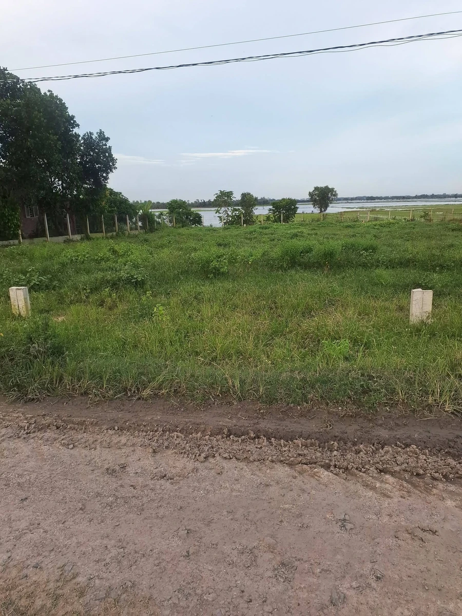 Bán lô đất 290m² ở Xã Long Chữ, Tây Ninh - Ảnh thu nhỏ 5