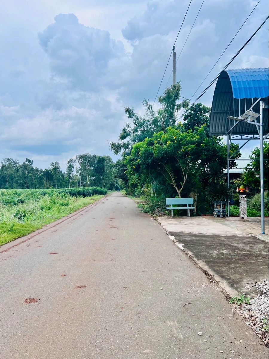 Bán đất 189m² Nghĩa Thành Châu Đức 590 triệu - Ảnh thu nhỏ 2