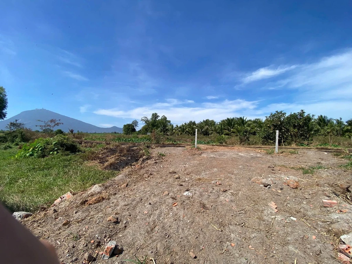 Bán đất Suối Đá Bình Chánh 195m2 - Ảnh 1