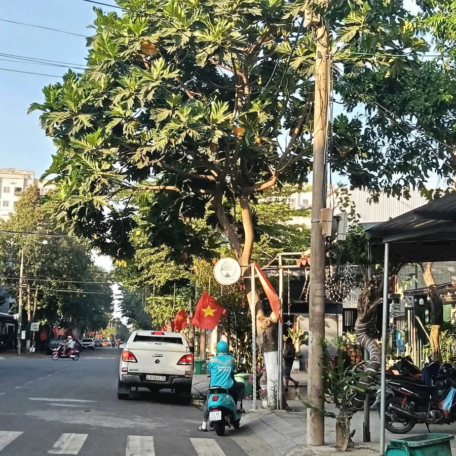 Bán đất 100m2 mặt tiền Nguyễn Hữu Tiến, Đà Nẵng - Ảnh thu nhỏ 2