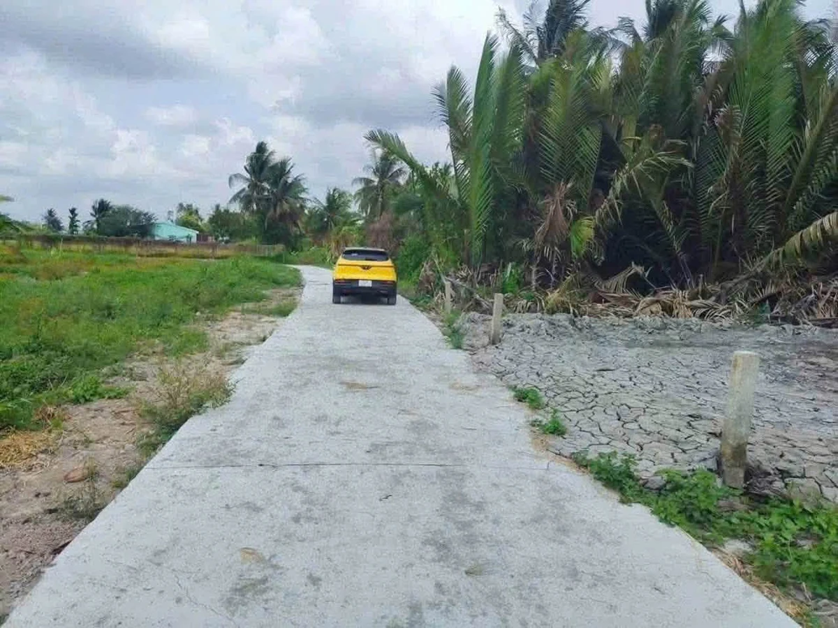 Bán đất nền 1300m² tại xã Tầm Vũ, Tây Ninh, 1 tỷ 290 triệu - Ảnh thu nhỏ 3
