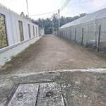 Bán nhà vườn 245m2, 2PN Phú Khương, Thủ Đức - Ảnh thu nhỏ 1