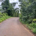 Bán rẫy cà phê 2.764m² góc 2 mặt đường, Ea Kao, Đắk Lắk - Ảnh thu nhỏ 5