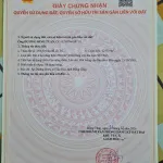 Vị trí đắc địa MT đường Huyện Lộ 9, cách ngã ba Nguyễn Trãi vào đúng 4 căn nhà. 15x72m, nở hậu 28m - Ảnh thu nhỏ 26