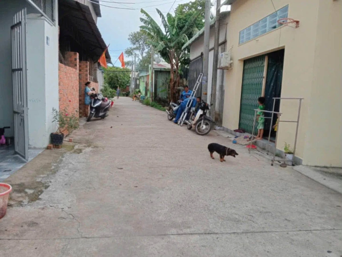 Bán dãy trọ 5 phòng và kiot 150m2 Phú An giá 1 tỷ 650 - Ảnh 1