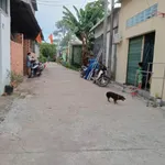 Bán dãy trọ 5 phòng và kiot 150m2 Phú An giá 1 tỷ 650 - Ảnh thu nhỏ 1