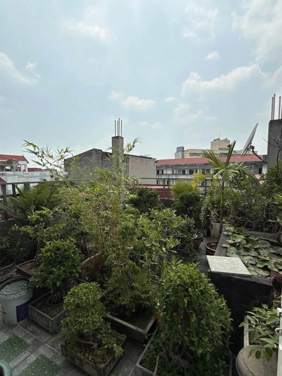 Bán nhà mặt tiền Lê Thánh Tông 100m², 3,5 tầng, 10,5 tỷ - Ảnh thu nhỏ 4