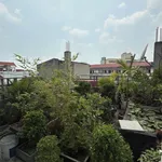 Bán nhà mặt tiền Lê Thánh Tông 100m², 3,5 tầng, 10,5 tỷ - Ảnh thu nhỏ 4