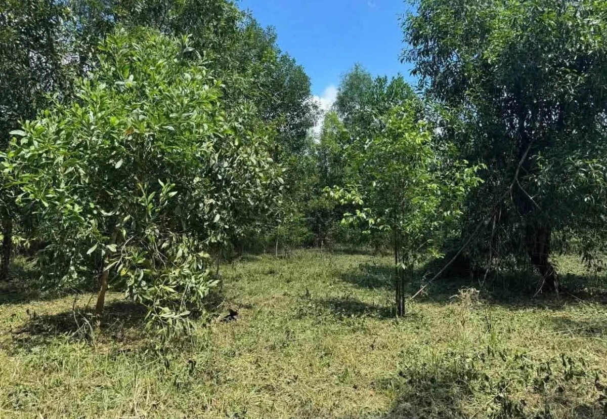 Bán 3.400m² đất vườn Tân Phú, Đồng Nai 870 triệu - Ảnh thu nhỏ 3