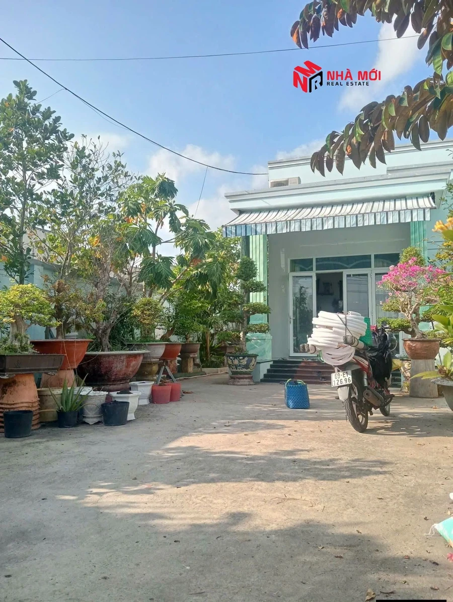 Nhà vườn 500m² 3PN 3WC view sông Cà Mau 2 tỷ 500 - Ảnh thu nhỏ 2