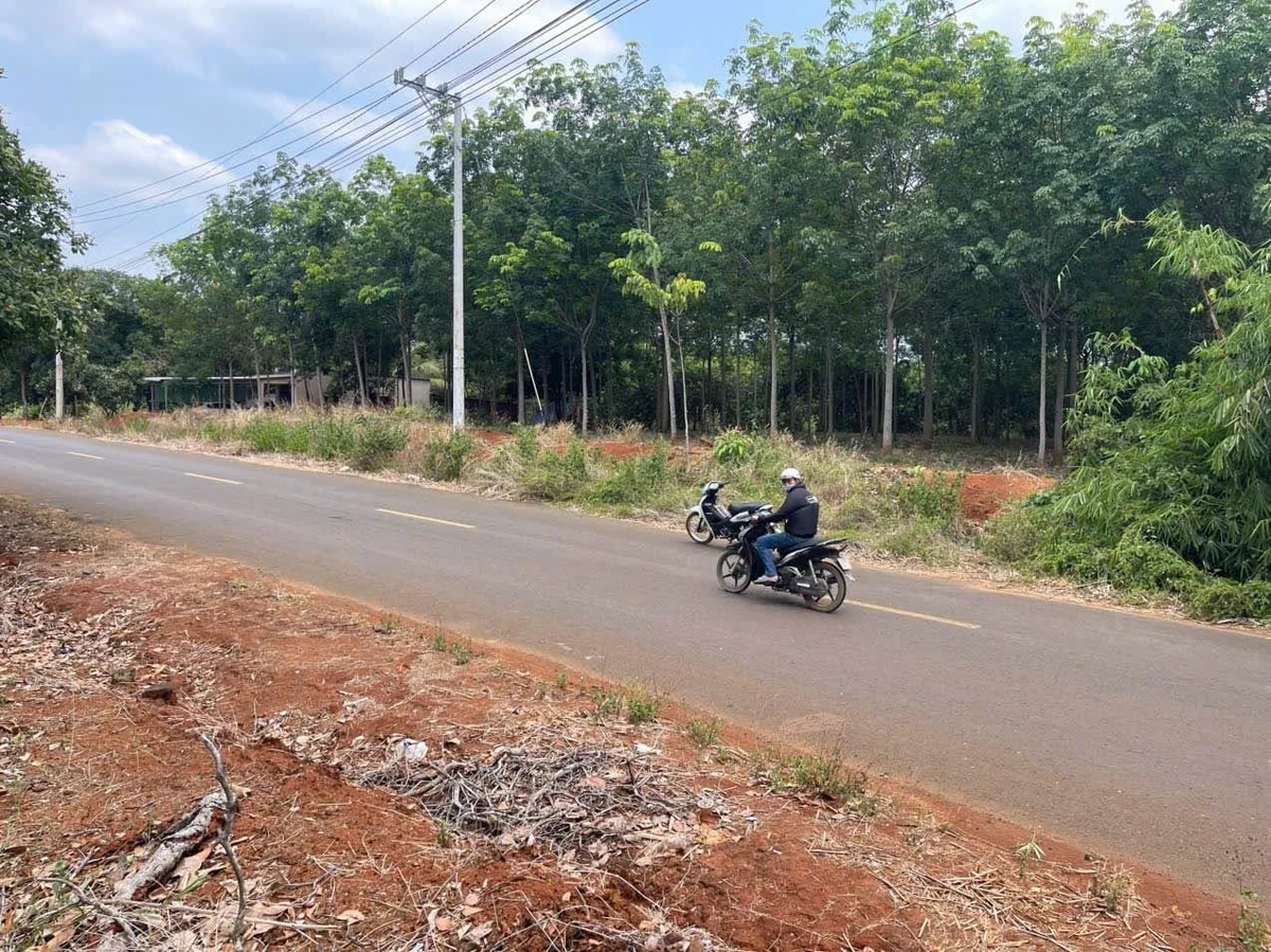 Bán đất mặt tiền Cây Số 9 Hóc Môn 3 sào - Ảnh 1