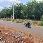 Bán đất mặt tiền Cây Số 9 Hóc Môn 3 sào - Ảnh thu nhỏ 1