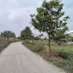 Bán gấp lô đất 100m² Mỹ Hạnh Bắc 1,2 tỷ - Ảnh thu nhỏ 1